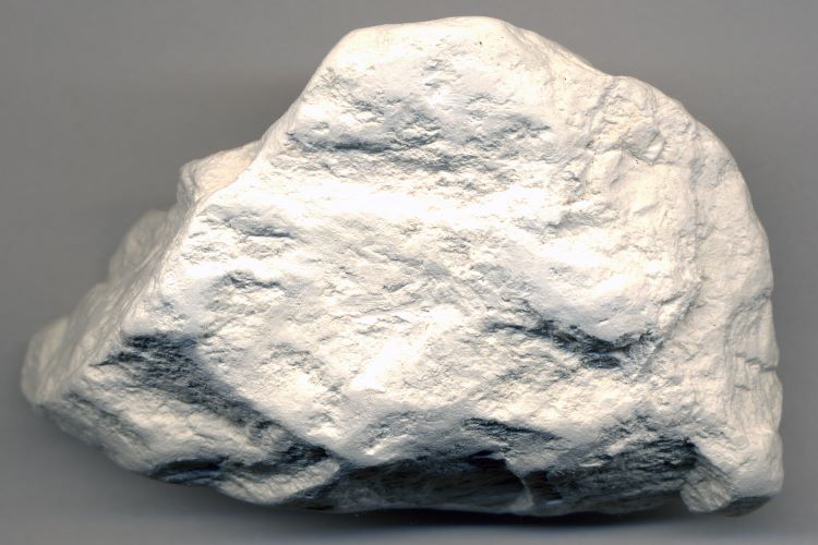 Diatomite - Sedimenatry rock